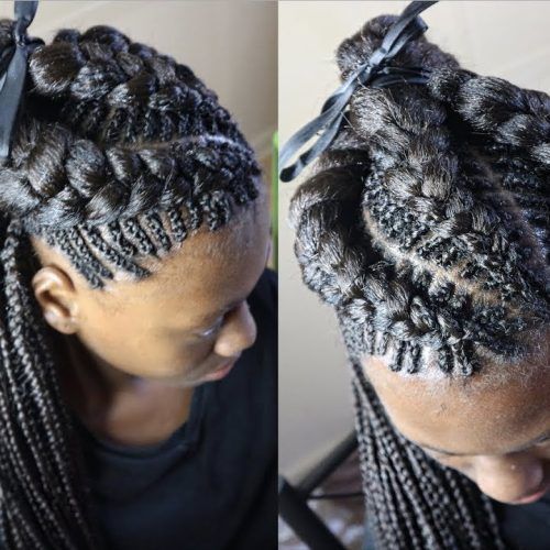 Ponytail Braid Hairstyles With Thin And Thick Cornrows (Photo 14 of 20)