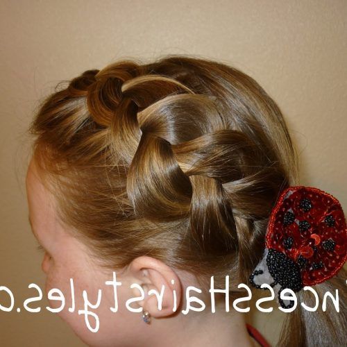 Reverse French Braid Ponytail Hairstyles (Photo 14 of 20)