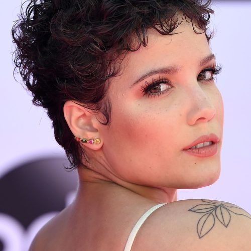 Short Black Pixie Hairstyles For Curly Hair (Photo 17 of 20)