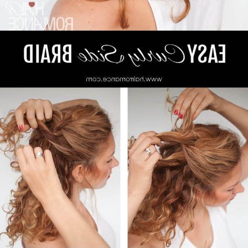 Side Braid Hairstyles For Curly Ponytail (Photo 19 of 20)