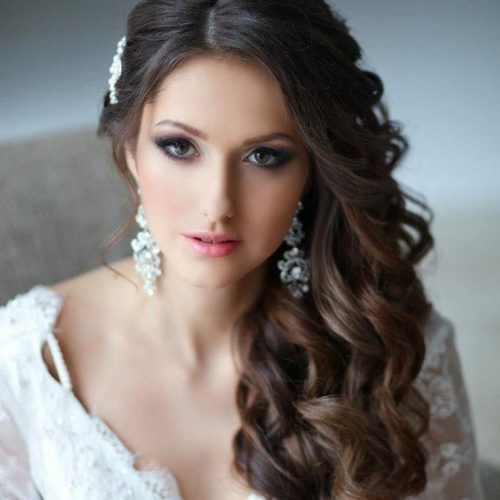 Side Curls Bridal Hairstyles With Tiara And Lace Veil (Photo 18 of 20)