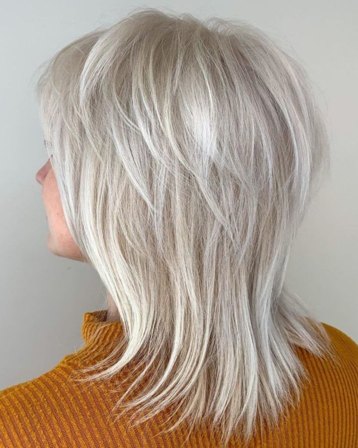 2024 Popular Silver Shag Haircuts with Feathered Layers
