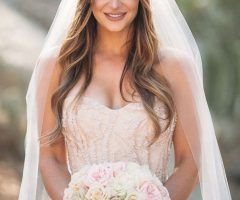 17 Best Collection of Wedding Hairstyles with Veil Over Face