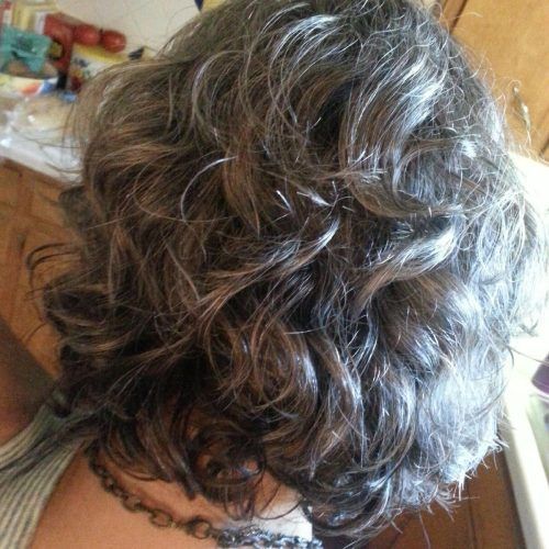 Short Loose Curls Hairstyles With Subtle Ashy Highlights (Photo 6 of 20)