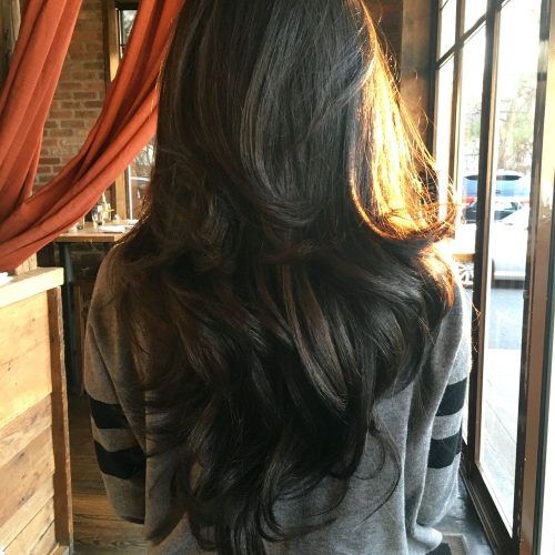 Reddish Brown Hairstyles With Long V-Cut Layers (Photo 2 of 20)