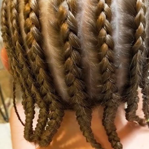 Long Hairstyles With Multiple Braids (Photo 9 of 20)