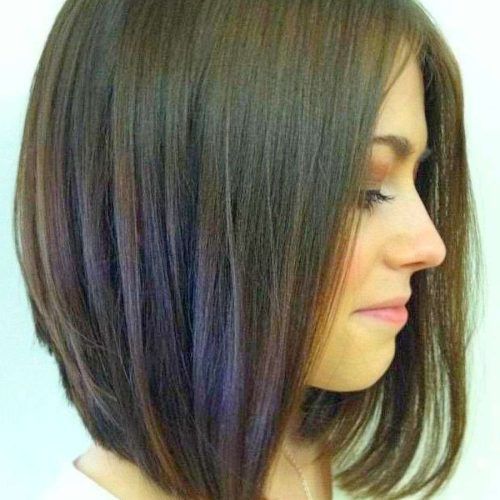 Rounded Tapered Bob Hairstyles With Shorter Layers (Photo 5 of 20)