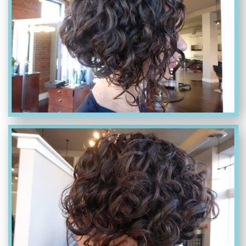 Short Curly Inverted Bob Hairstyles (Photo 8 of 15)