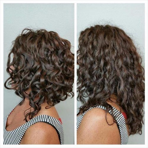 Inverted Bob For Curly Hair (Photo 4 of 15)