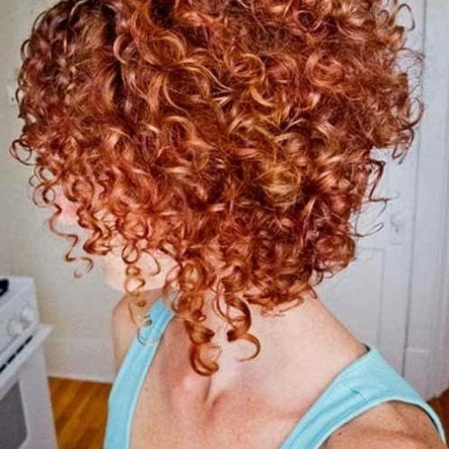 Inverted Bob Haircut For Curly Hair (Photo 5 of 15)