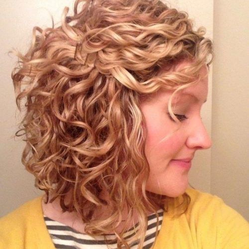 Most Recent Curly Inverted Bob Hairstyles inside Curly Inverted Bob (Photo 67 of 292)