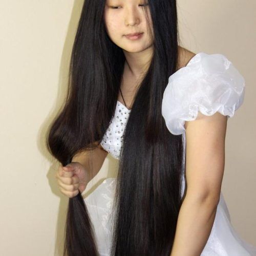 Chinese Haircuts For Long Hair (Photo 20 of 20)
