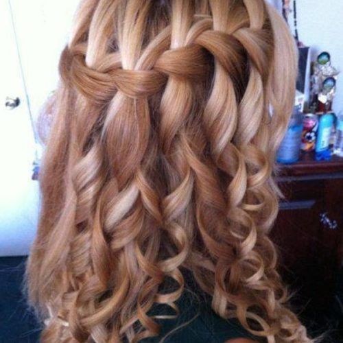 Long Hairstyles Plaits (Photo 12 of 15)