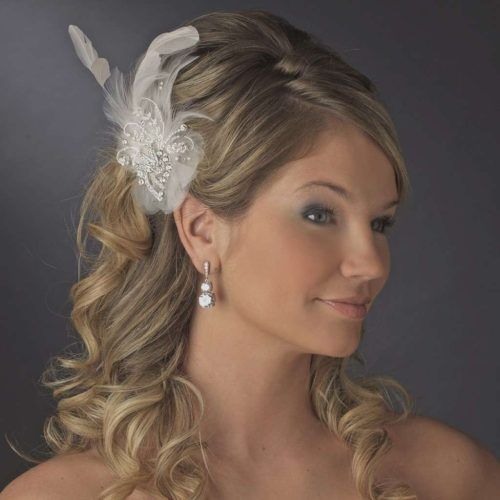 Wedding Hairstyles For Long Hair With Fascinator (Photo 6 of 15)
