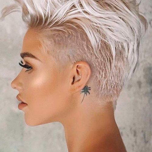 Longer-On-Top Pixie Hairstyles (Photo 13 of 20)