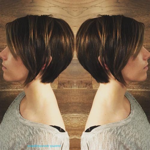 Textured Pixie Hairstyles With Highlights (Photo 14 of 20)