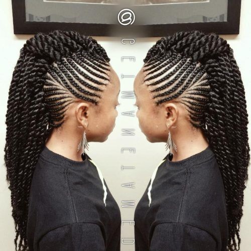 Fully Braided Mohawk Hairstyles (Photo 5 of 20)