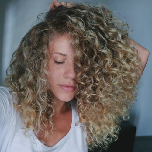 Curls And Blonde Highlights Hairstyles (Photo 5 of 20)