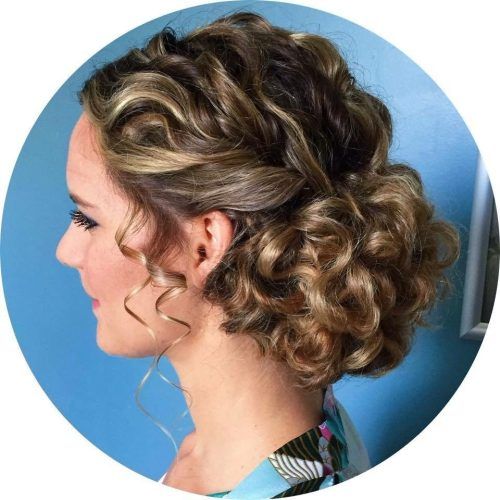Naturally Curly Hair Updo Hairstyles (Photo 11 of 15)