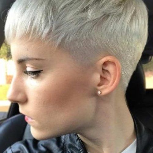Long Pixie Hairstyles With Skin Fade (Photo 20 of 20)