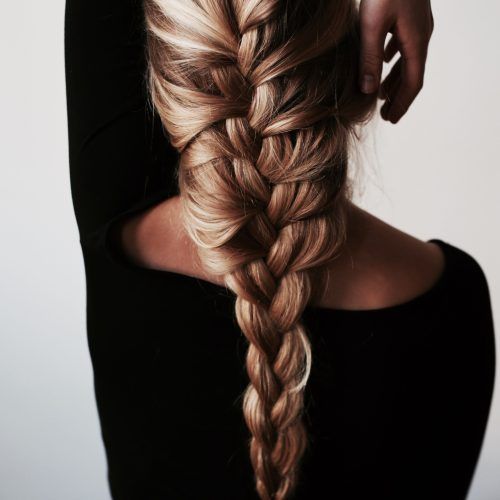 Thick And Luscious Braid Hairstyles (Photo 1 of 20)