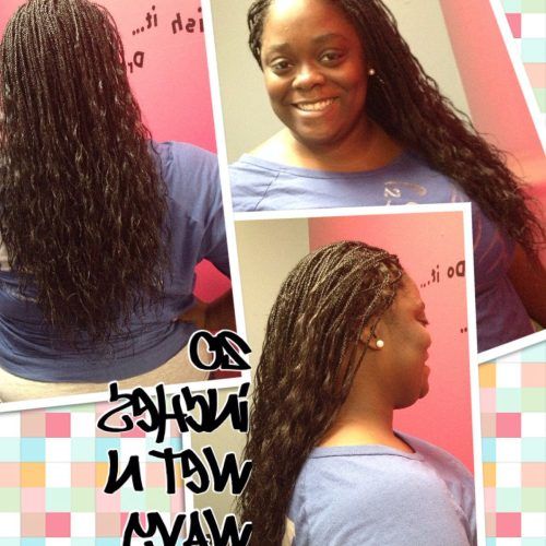 Micro Braid Hairstyles With Loose Curls (Photo 8 of 20)