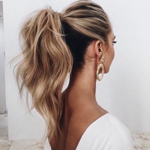 Long Classic Ponytail Hairstyles (Photo 2 of 20)