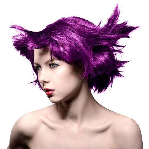 Purple Haze Hairstyles (Photo 17 of 20)