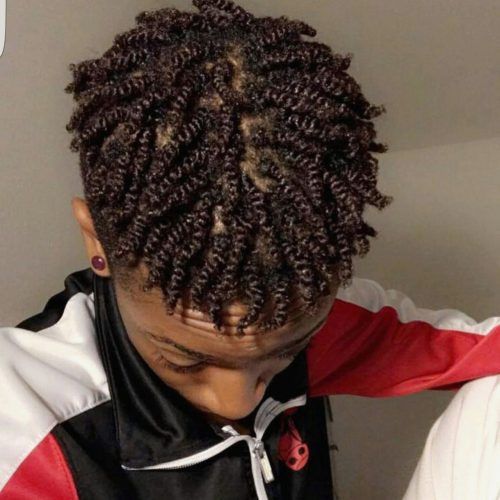 Braided Hairstyles For Black Males (Photo 3 of 15)