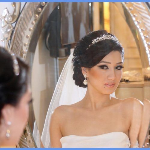 Wedding Hairstyles For Long Hair Up With Veil (Photo 14 of 15)