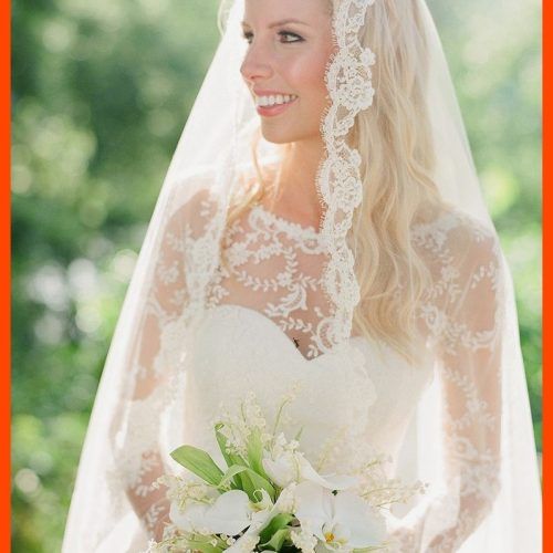 Wedding Hairstyles Down With Veil (Photo 8 of 15)