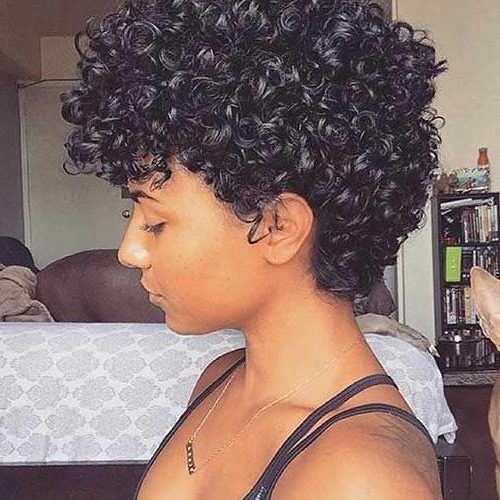 Short Haircuts For Naturally Curly Hair (Photo 20 of 20)