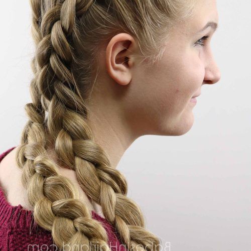 Braids And Bouffant Hairstyles (Photo 7 of 20)