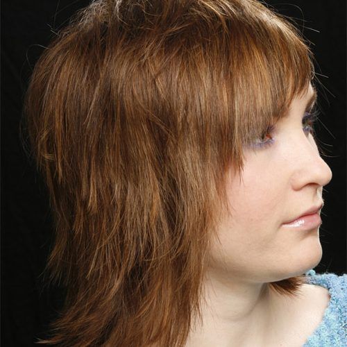 Straight Mid-Length Chestnut Hairstyles With Long Bangs (Photo 15 of 20)
