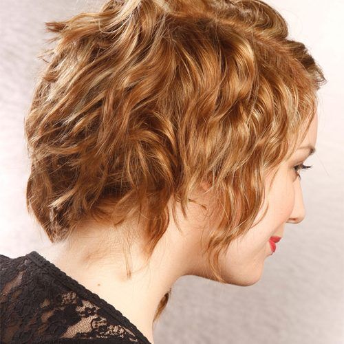 Curly Pixie Hairstyles With Light Blonde Highlights (Photo 5 of 20)