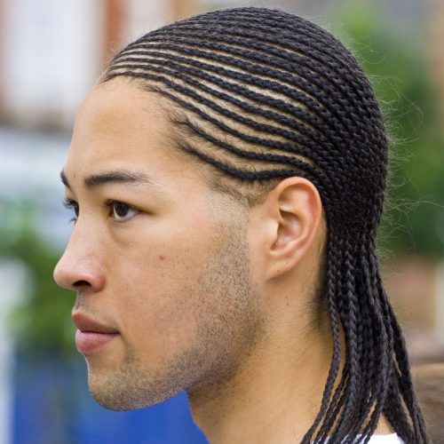 Cornrows Hairstyles For Guys (Photo 8 of 15)