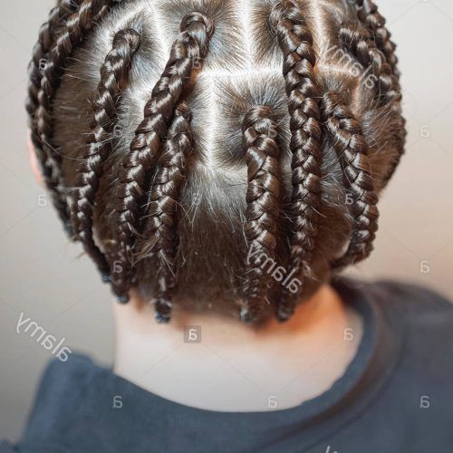 Thick Plaits And Narrow Cornrows Hairstyles (Photo 10 of 20)