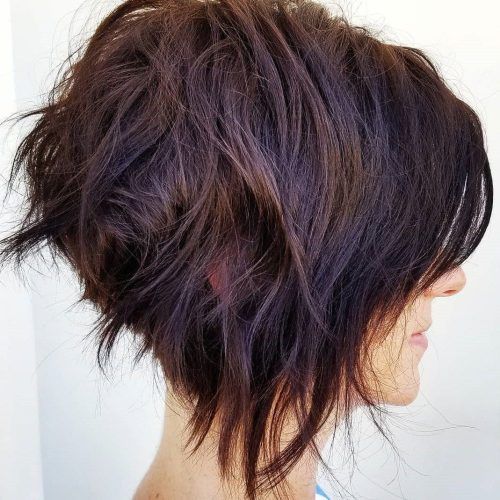 Black Curly Inverted Bob Hairstyles For Thick Hair (Photo 2 of 20)