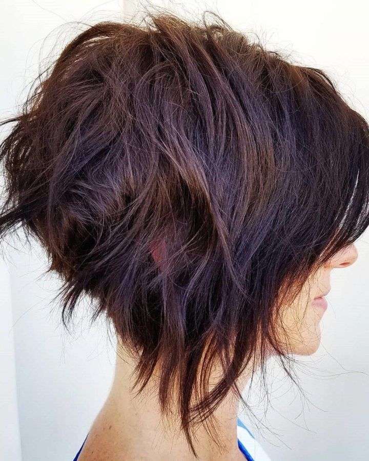 20 Ideas of Messy Shaggy Inverted Bob Hairstyles with Subtle Highlights