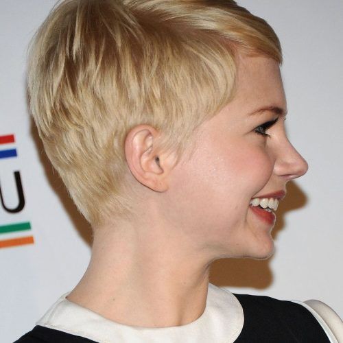 Michelle Williams Pixie Haircuts (Photo 1 of 20)