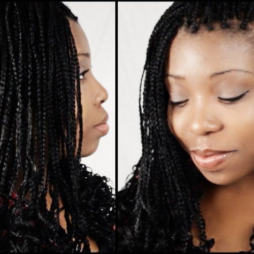 Micro Braided Hairstyles (Photo 2 of 20)