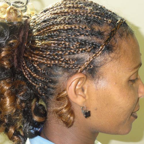 Micro Braided Hairstyles (Photo 12 of 20)