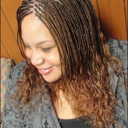 Wet And Wavy Micro Braid Hairstyles (Photo 17 of 20)