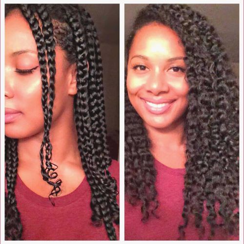 Micro Braid Hairstyles With Curls (Photo 14 of 20)