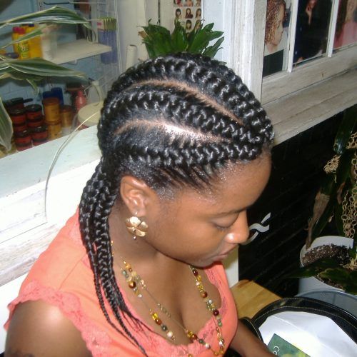 Micro Braids Hairstyles In Side Fishtail Braid (Photo 9 of 20)
