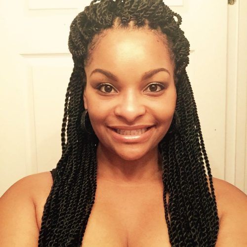 Twists Micro Braid Hairstyles With Curls (Photo 1 of 20)