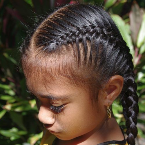 Side French Cornrow Hairstyles (Photo 6 of 15)