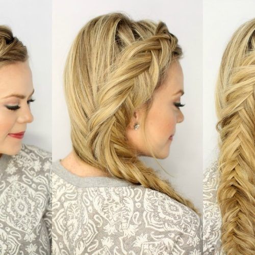 Two French Braids And Side Fishtail (Photo 2 of 15)