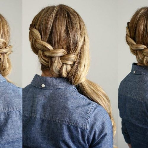 Long Ponytails With Side Braid (Photo 6 of 20)