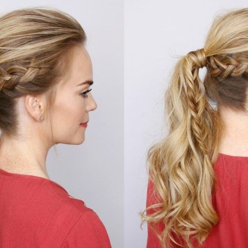 Side Braid Hairstyles For Curly Ponytail (Photo 17 of 20)
